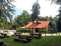 Slika.